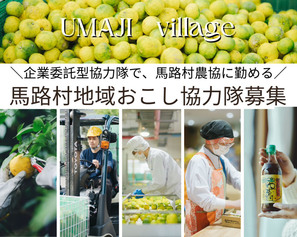 【馬路村】ゆず栽培の地域おこし協力隊（委託型）を募集します！　